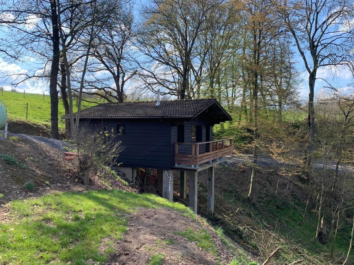 Gites Douillets : Chalet Sur Pilotis Houyet Екстериор снимка